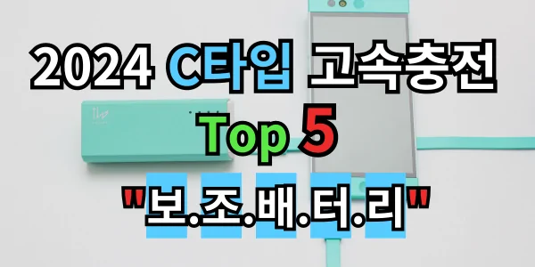 필수 아이템 2024년 C타입 고속충전 보조배터리 Top 5 추천